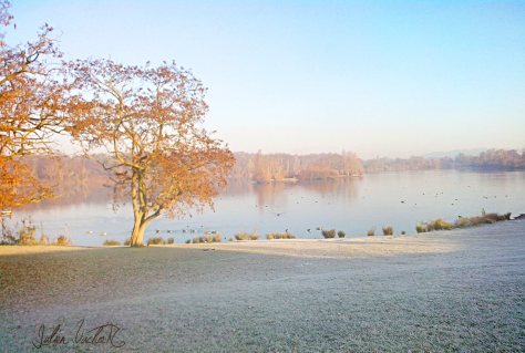 10548742_911517495530363_236052931931023558_o