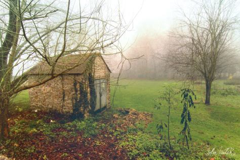 10869838_998486503500128_4448549500449761059_o