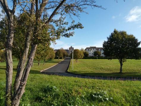 22550329_936543096509472_748786891173363566_o