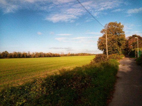 22553255_936542973176151_5709325668286979508_o