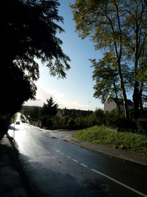 22554954_936697389827376_68757689871333145_n