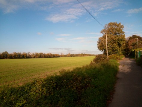 22713336_936543039842811_5554085485254903495_o