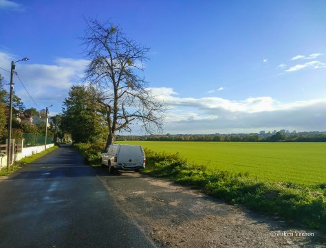 IMG_20171022_164952-2