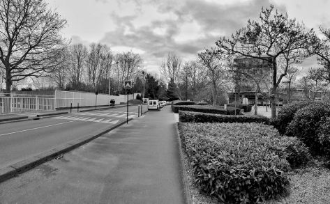 17388801_802748793222237_7434691757328745752_o